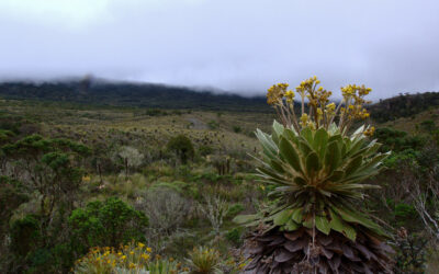 Belmira reactiva poco a poco el turismo