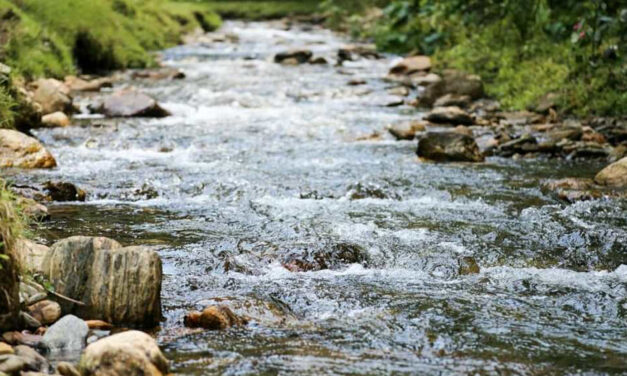 Refugio de vida silvestre en Caldas