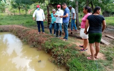 Arboletes apoyará proyectos agropecuarios