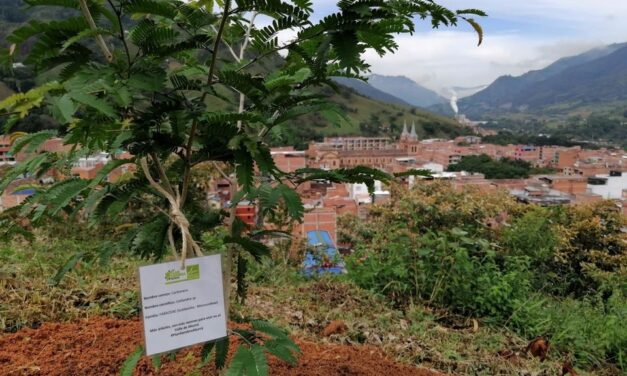 Barbosa tiene nuevas zonas verdes