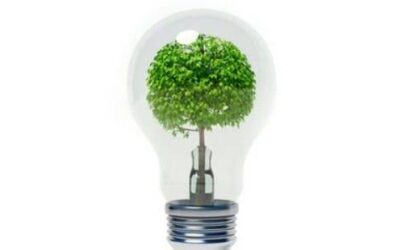 ECOnomía Familiar en Titiribí