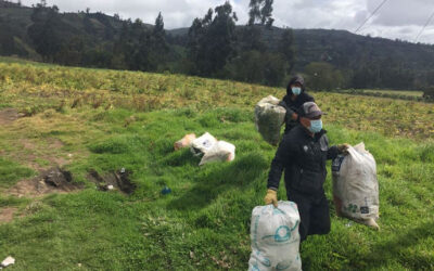 Positiva recolección de envases agroquímicos en Betulia