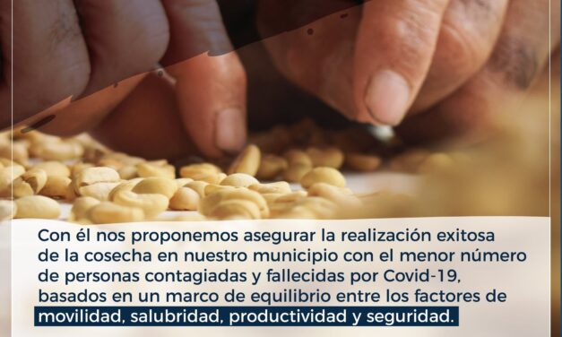 Salgar lanza plan cosecha cafetera 2020