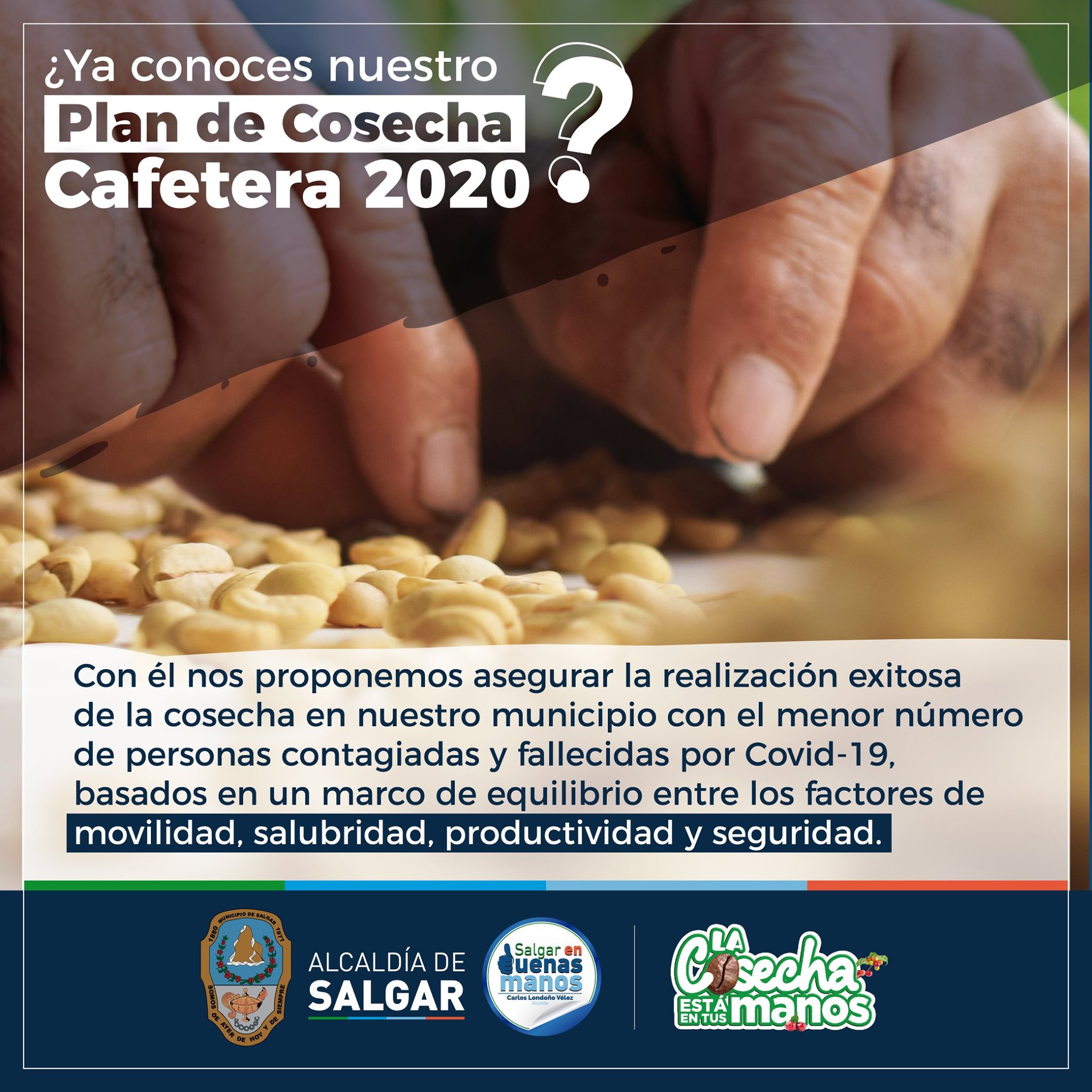 Salgar lanza plan cosecha cafetera 2020