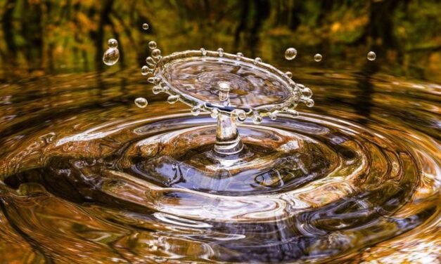 El agua es una prioridad en San Vicente