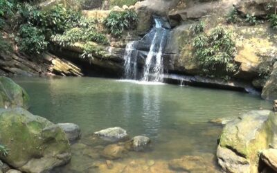Cañasgordas protege las fuentes hídricas