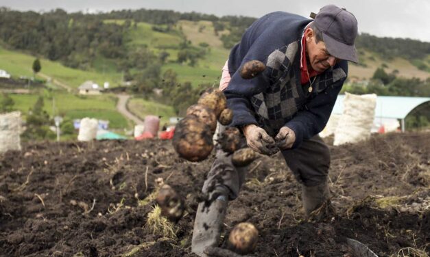 Los campesinos son una prioridad en Puerto Triunfo