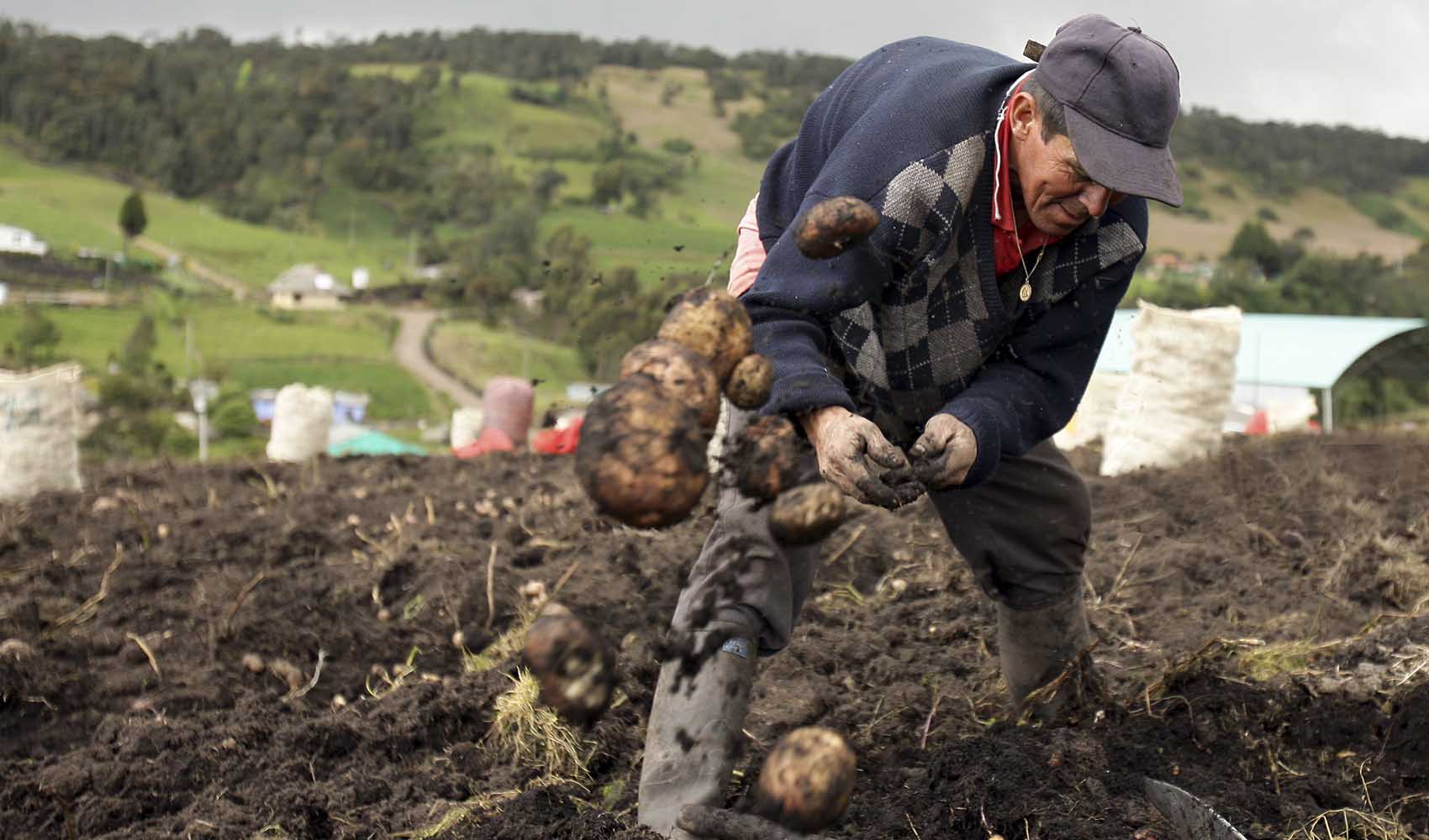 ca Los campesinos son una prioridad en Puerto Triunfo