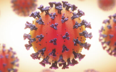 Estrategias para la contención del Covid en Betulia