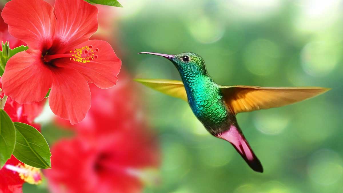 La Ceja comprometida con la biodiversidad