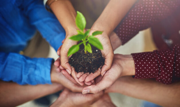 Rionegro le apuesta a la conciencia ambiental