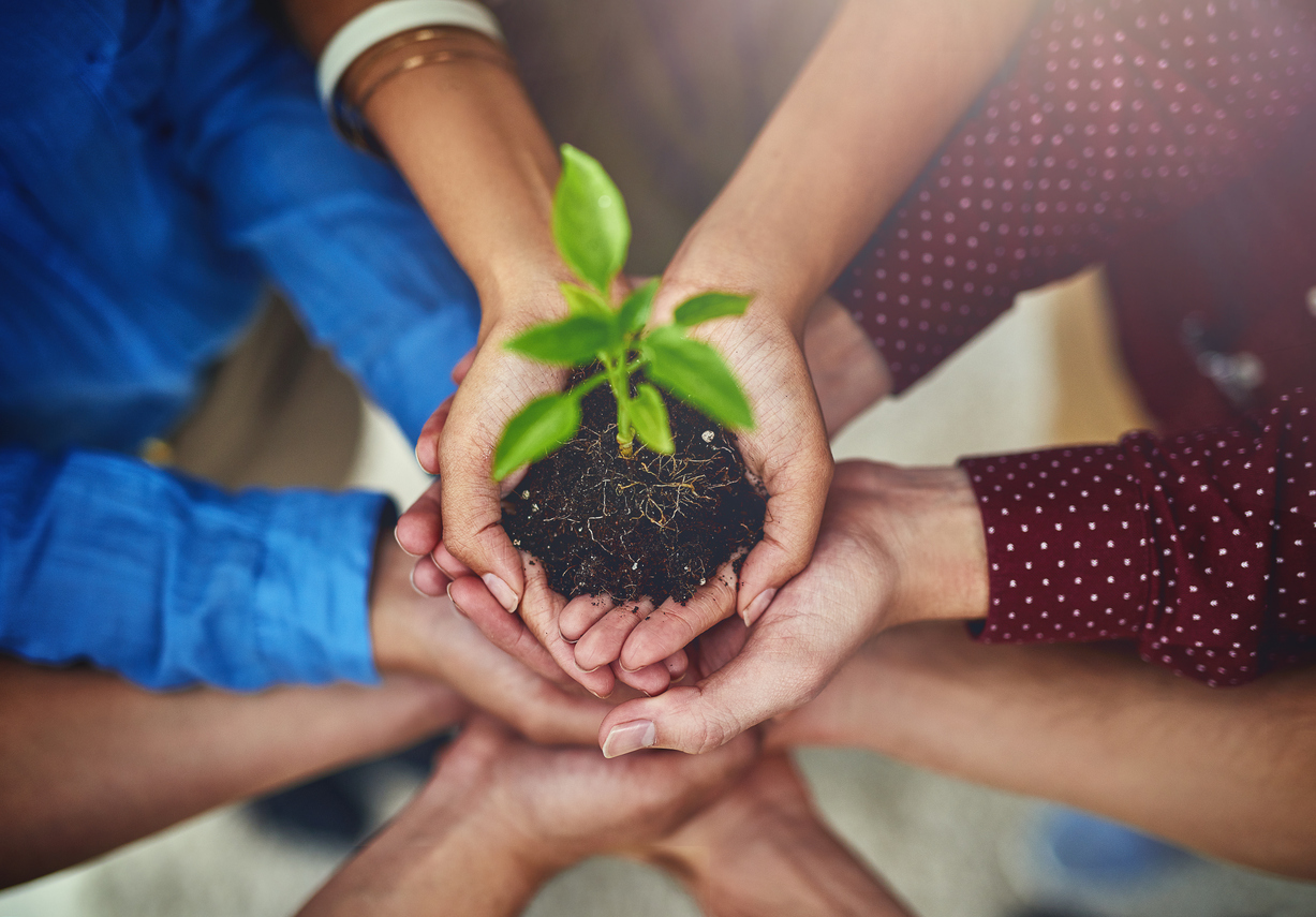 Success means helping each other grow Rionegro le apuesta a la conciencia ambiental