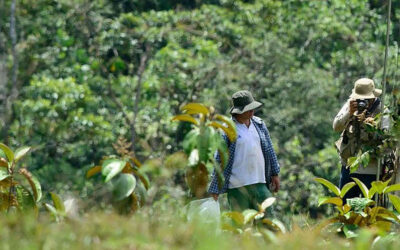 Los héroes que protegen los recursos naturales de Tarso