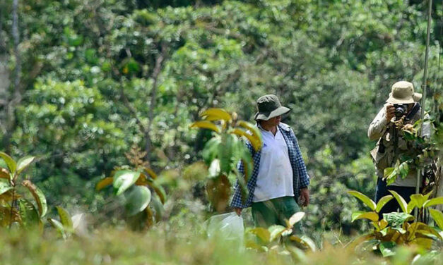 Los héroes que protegen los recursos naturales de Tarso