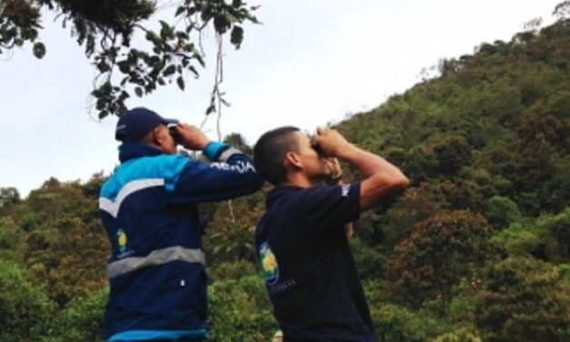 Andes cuenta con cuatro guardabosques