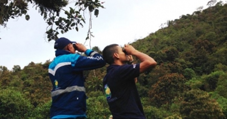 Andes cuenta con cuatro guardabosques Andes cuenta con cuatro guardabosques