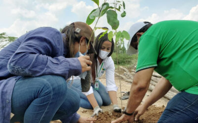 Siembra simbólica de árboles en Entrerríos