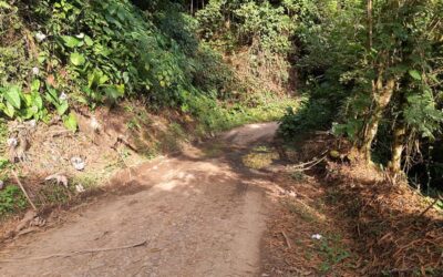 Radicación de placa huella en Venecia