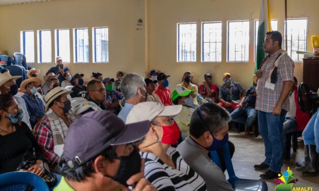 En Amalfi se desarrolla un nuevo proyecto de agroindustria