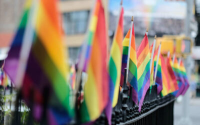 Campaña que estigmatiza a la comunidad LGTBI