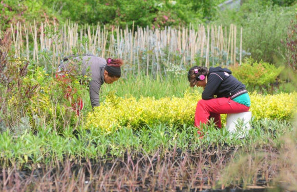 Amalfi conmemora a las mujeres rurales