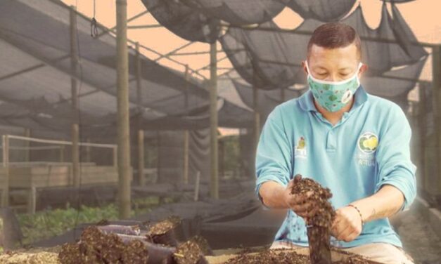 Los Bio viveros dinamizan el empleo.
