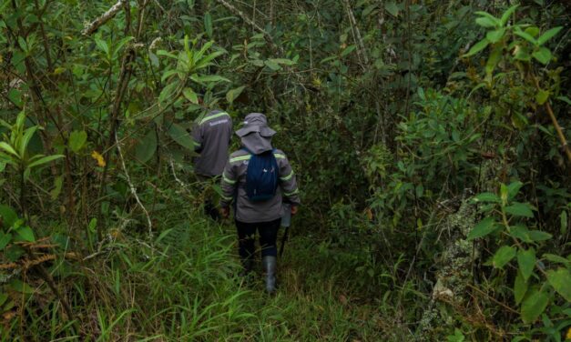 Mejoramiento de la labor de los guardabosques de San Vicente