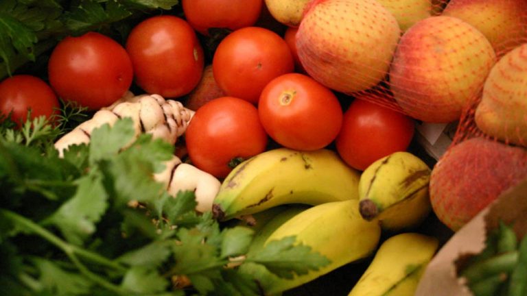 Feria del campo en Caracolí