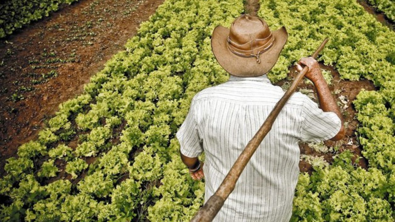 agricultor-sostenible-1280×720 Escuela de Campo de agricultores en Dabeiba