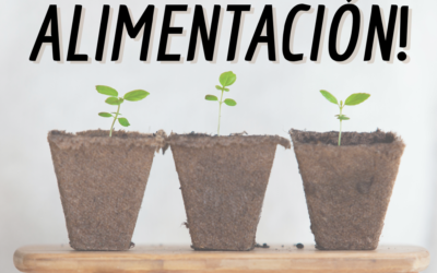 Héroes de la alimentación en Belmira