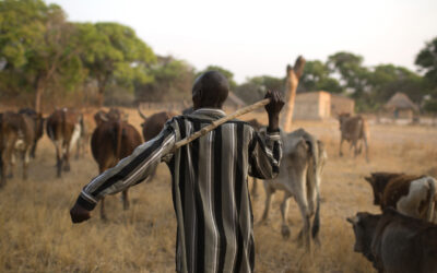 En San Pedro celebran a los ganaderos
