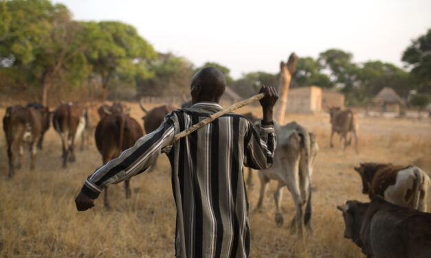 En San Pedro celebran a los ganaderos