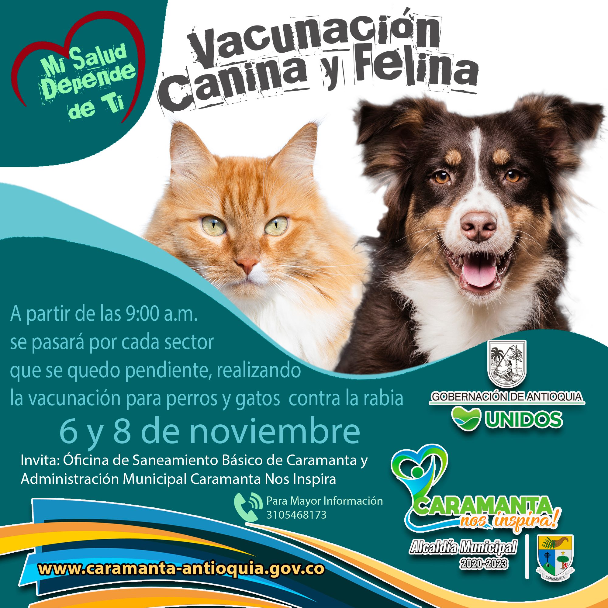 En Caramanta se realizará jornada canina y felina En Caramanta se realizará jornada canina y felina