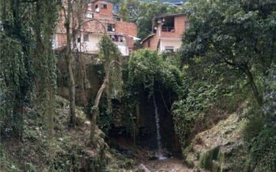 Amagá protege sus fuentes hídricas