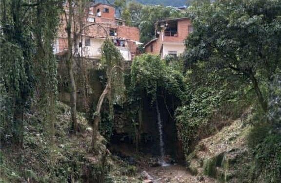 Amagá protege sus fuentes hídricas