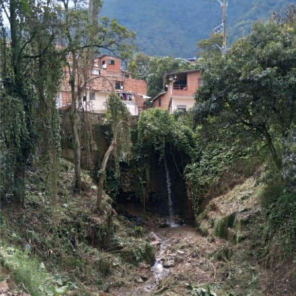 Amagá protege sus fuentes hídricas
