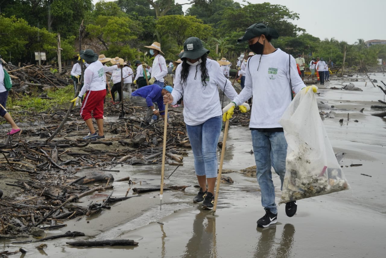 Un éxito primera jornada de limpieza de playas Un éxito primera jornada de limpieza de playas