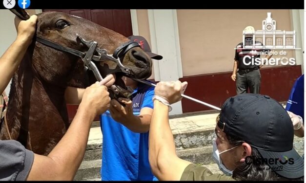 Cisneros celebró el día del caballo
