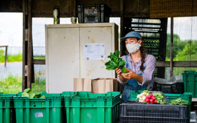 Regresa el mercado campesino a Maceo