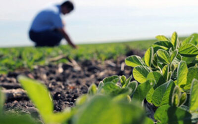 Entrerrios celebra a sus agrónomos