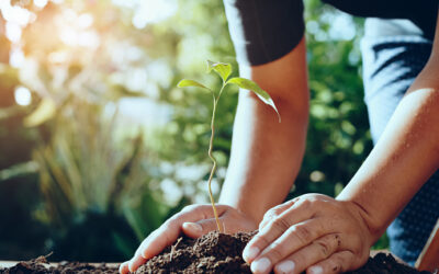 Feria ambiental en Santa Fe de Antioquia
