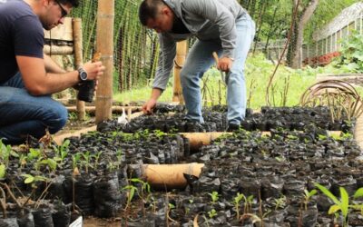 Caracolí fortalecerá el trabajo comunitario y ecológico