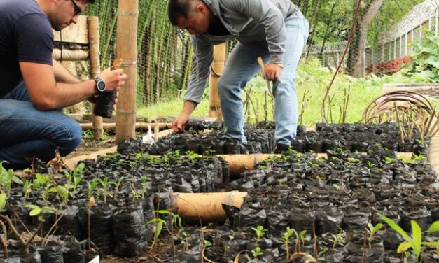 Caracolí fortalecerá el trabajo comunitario y ecológico