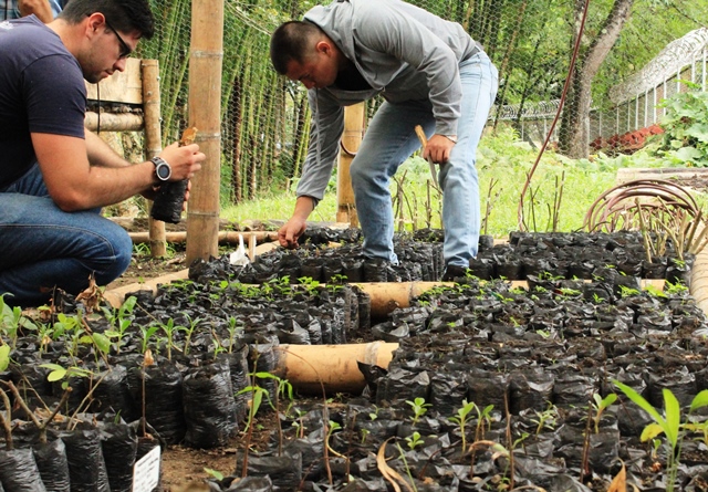 Caracolí fortalecerá el trabajo comunitario y ecológico Caracolí fortalecerá el trabajo comunitario y ecológico