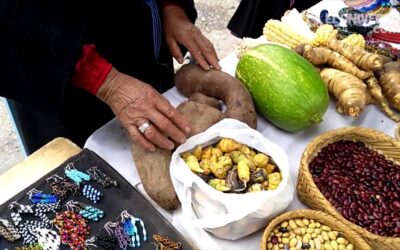 Concurso Saberes Ancestrales en el Suroeste