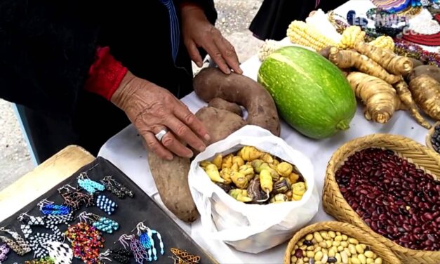 Concurso Saberes Ancestrales en el Suroeste