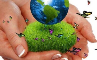 Pagos por Servicios Ambientales nuevo programa de Andes