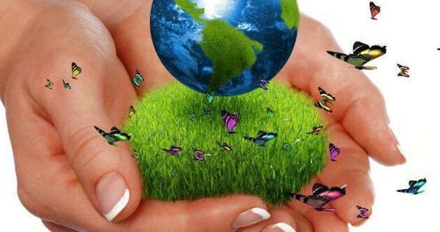 Pagos por Servicios Ambientales nuevo programa de Andes