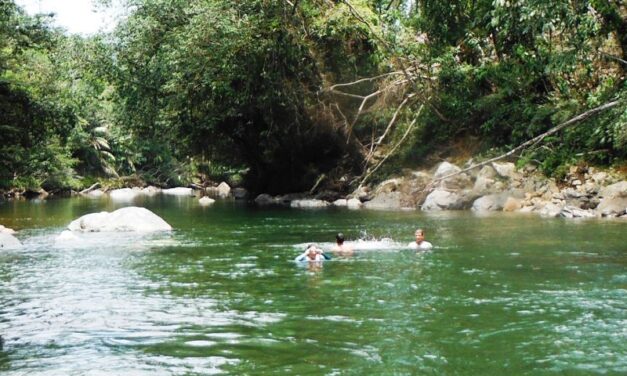 San Francisco promueve el turismo responsable