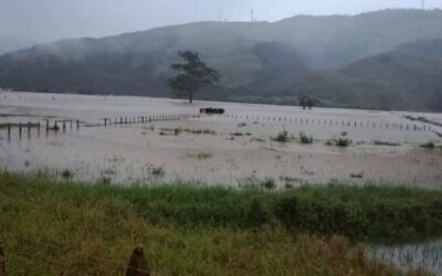 Gobernación busca soluciones para situación en Urrao